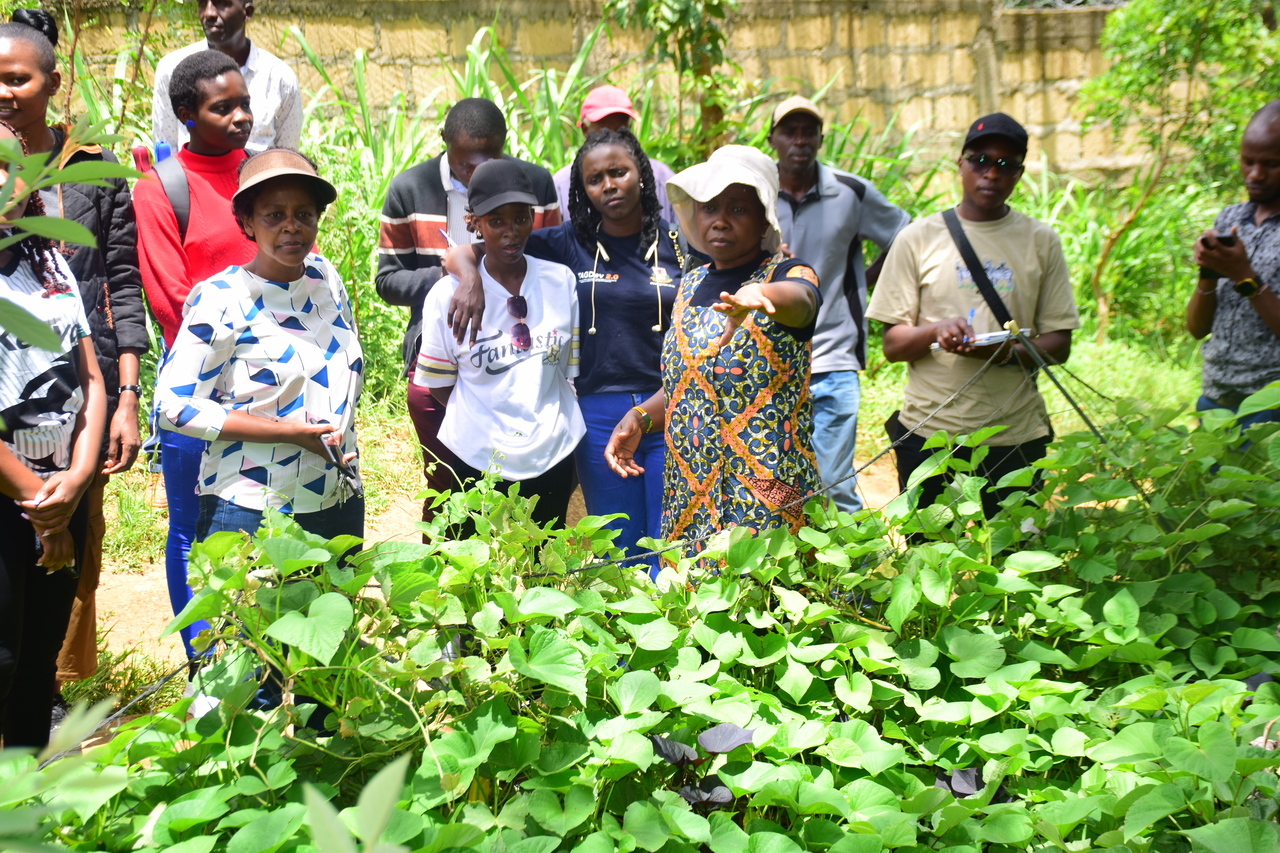 From Unproductive Land to Bountiful Harvest: The Rise of Rehema Farm - Ma Mahiu, Nakuru County.