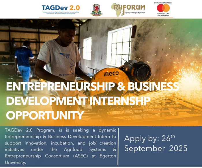 Internal Call: Recruitment of an Entrepreneurship and Business Development Intern